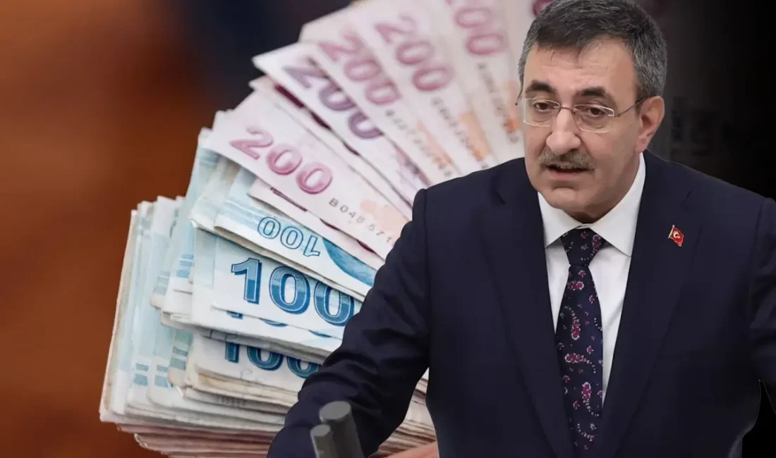 Cevdet Yılmaz, 2026 bütçe