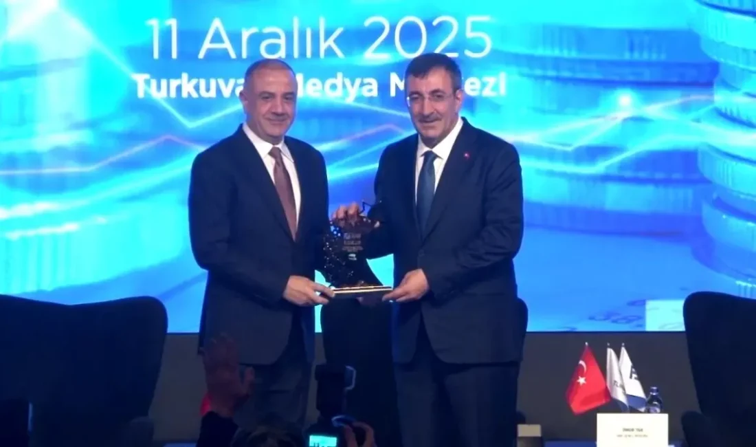 Cevdet Yılmaz, Türkiye'nin ekonomik