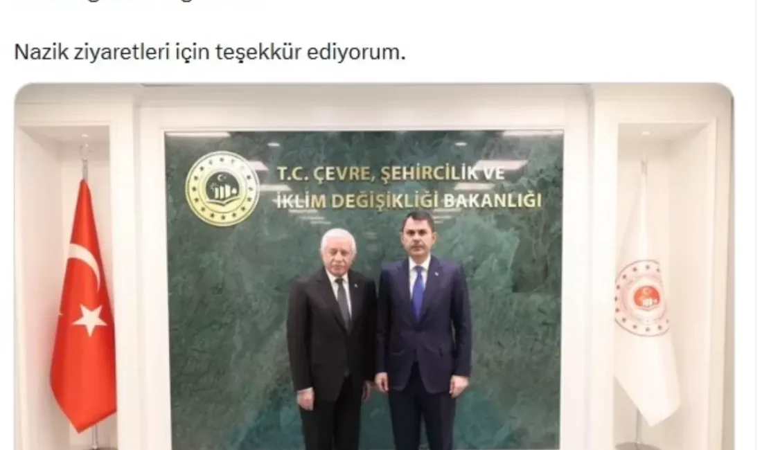 Çevre ve siyasette işbirliği