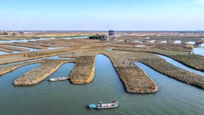 Çin’de Büyük Kar Sezonu ve Tarımsal Faaliyetler