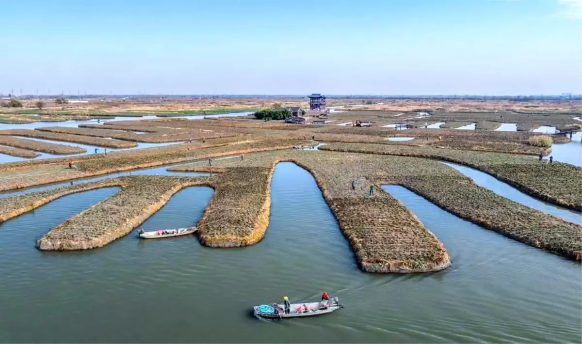 Çin’de Büyük Kar Sezonu ve Tarımsal Faaliyetler