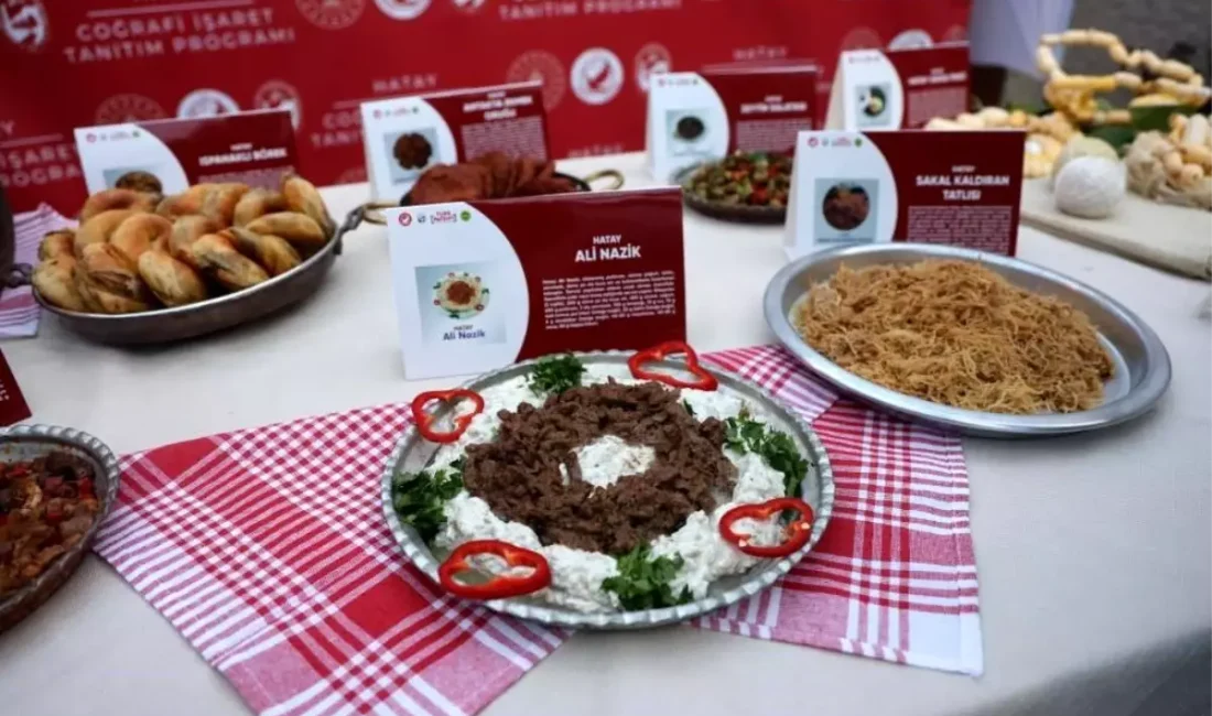 Türkiye'nin coğrafi işaretlerinin denetimi