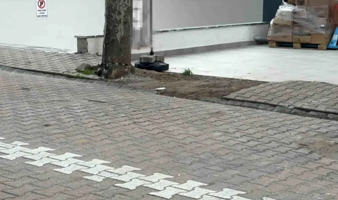 Darıca'da sokakta şaşırtan dolar