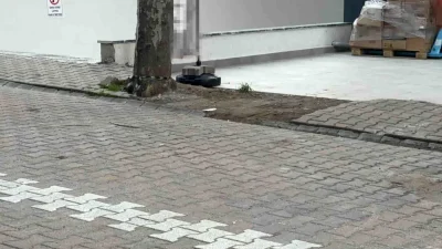 Darıca’da Sokakta Şaşırtan Dolar Buluntusu