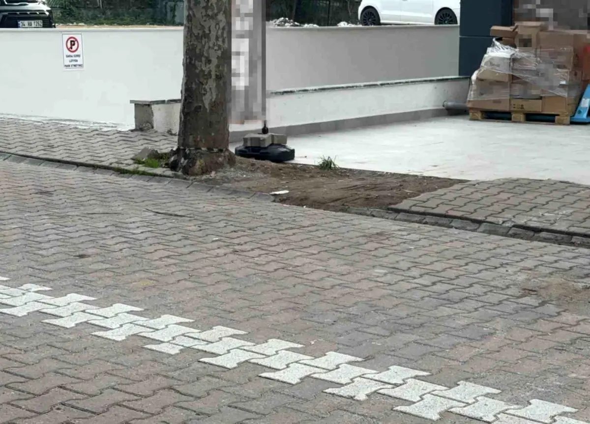 Darıca’da Sokakta Şaşırtan Dolar Buluntusu