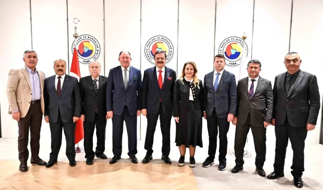 Düzce bilişim sektöründeki sorunları