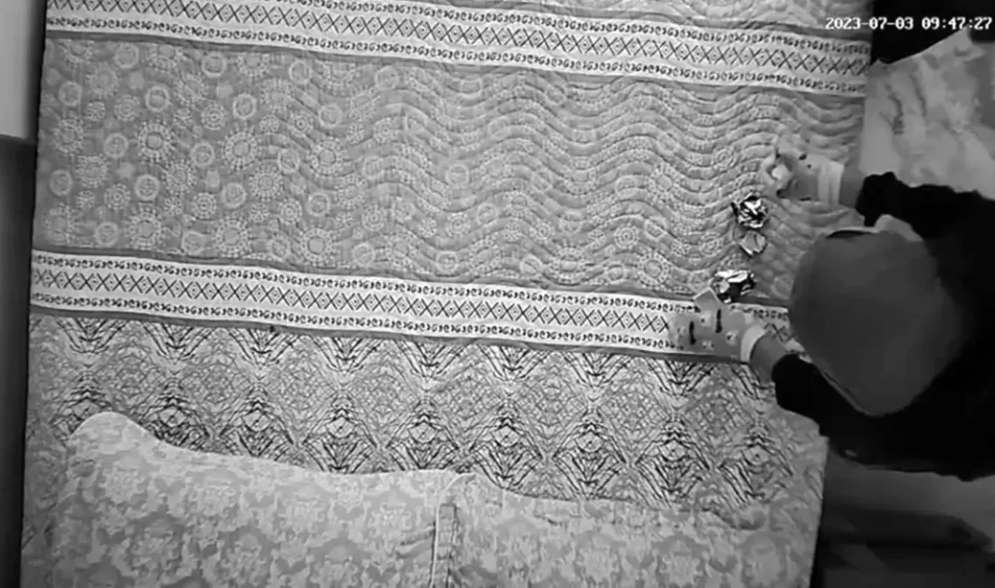 Düziçi'nde gerçekleşen hırsızlık anları