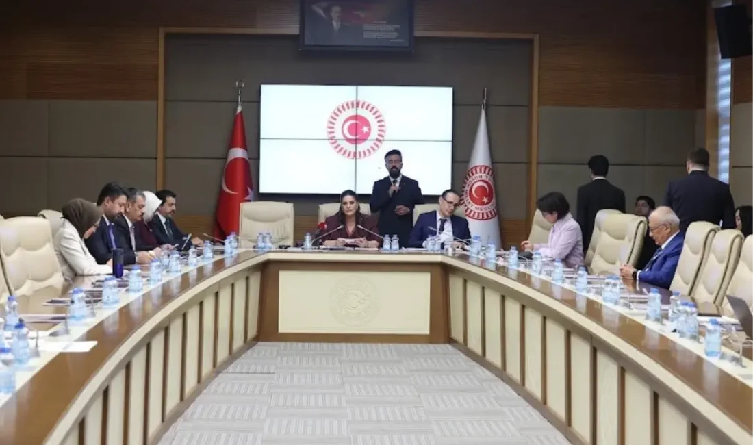 Engelli bireylerin sorunlarına yönelik