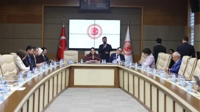 Engelli Bireylerin Sorunlarına Yönelik Güncel Çalışmalar ve Beklentiler