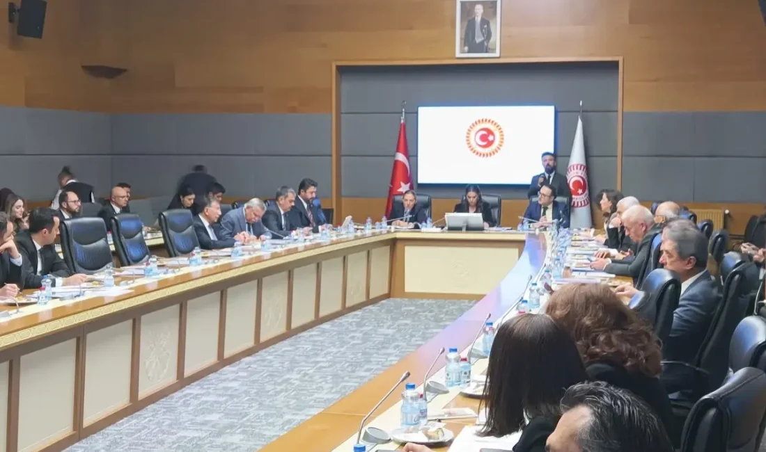 Engelli hakları ve çalışmalarına