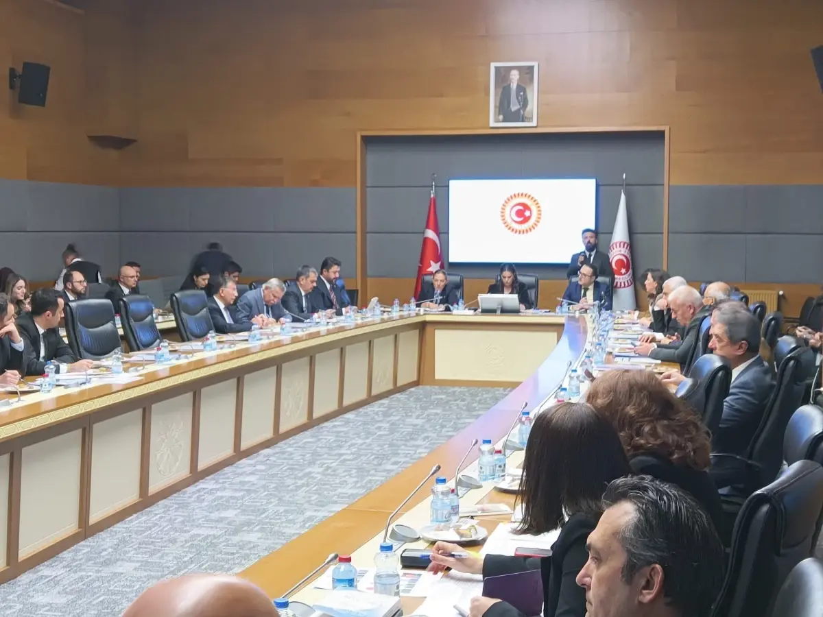 Engelli Hakları ve Çalışmalarına İlişkin Güncel Bilgiler ve Değerlendirmeler