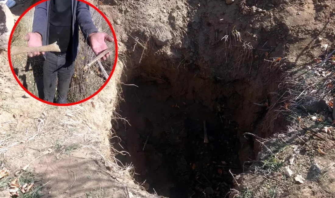 Erciş'teki tarihi mezarlık definecilerin