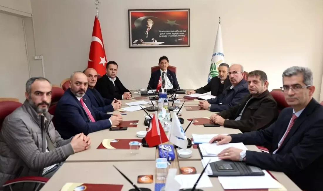 Erzurum'daki doğalgaz kesintileri ve