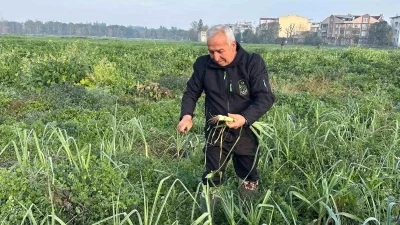 Gazi Tarım'ın doğal sebzeleri ve