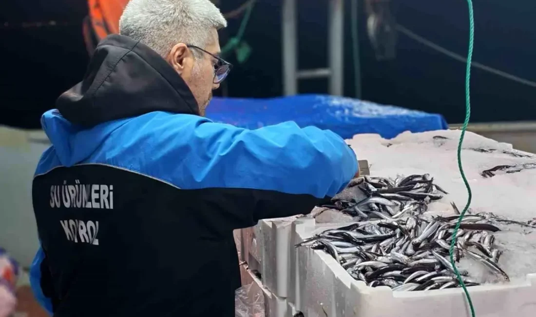 Gelibolu'da yapılan su ürünleri