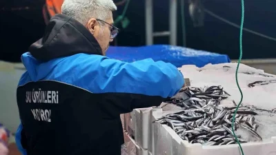Gelibolu’da Su Ürünleri Denetimlerinde Yüksek Miktarda Yasa Dışı Balık Yakalandı