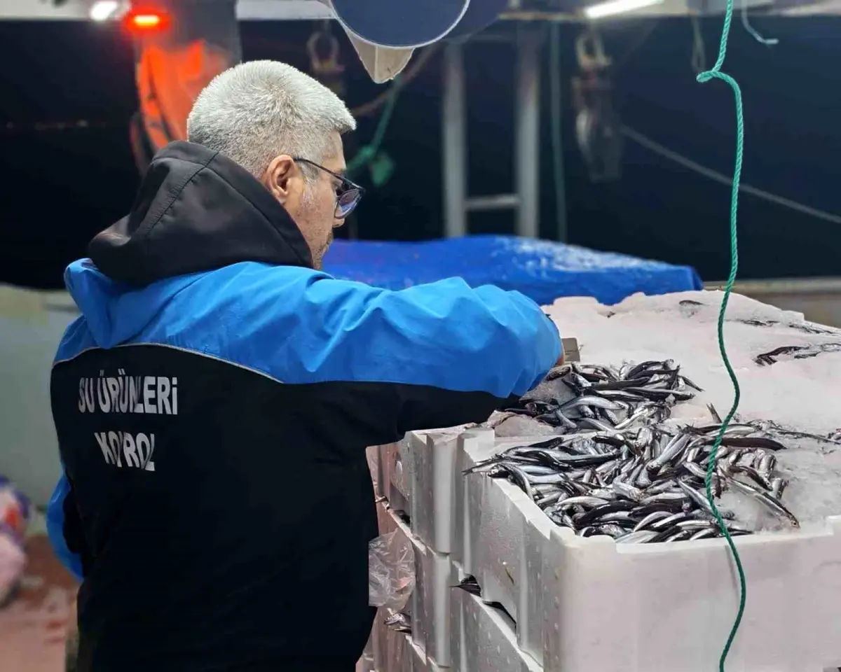 Gelibolu’da Su Ürünleri Denetimlerinde Yüksek Miktarda Yasa Dışı Balık Yakalandı