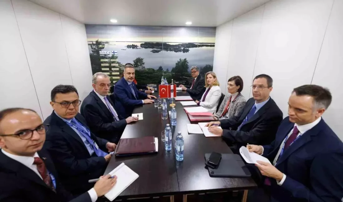 Hakan Fidan, AGİT 32.