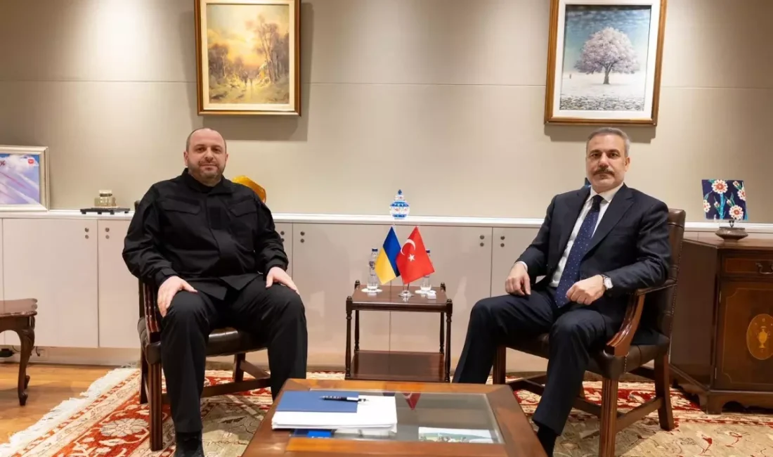 Hakan Fidan ve Rüstem