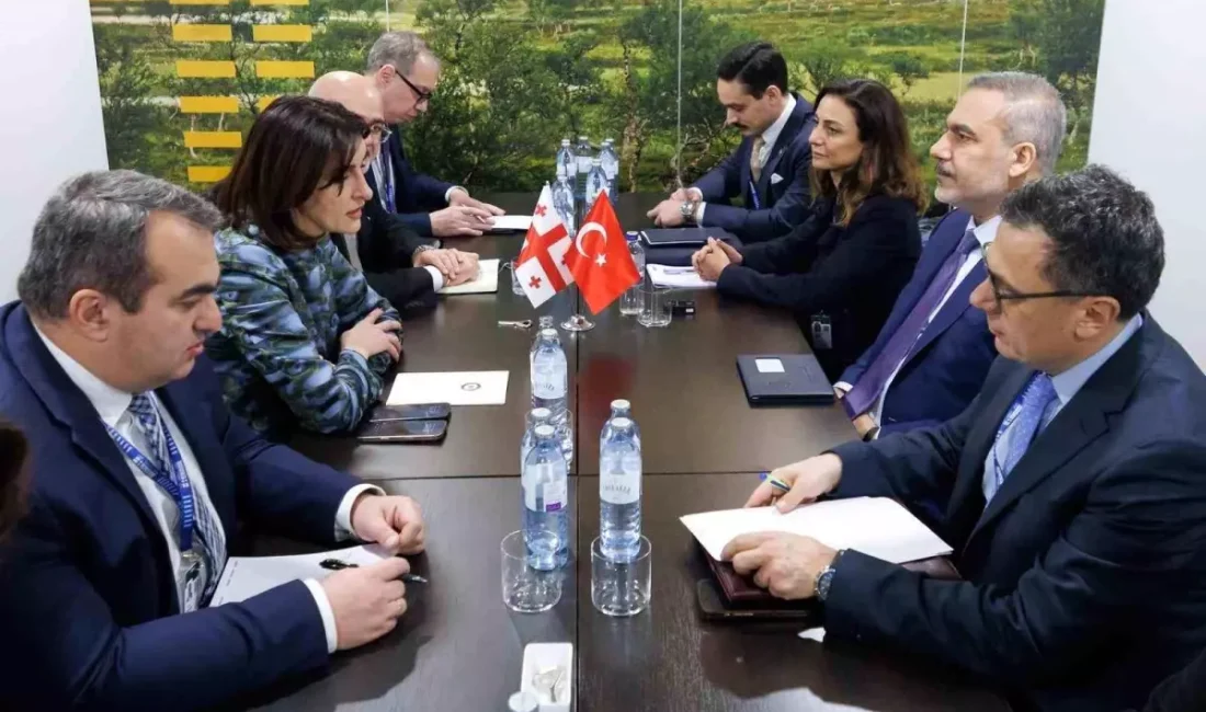 Hakan Fidan, Viyana'da Gürcistan