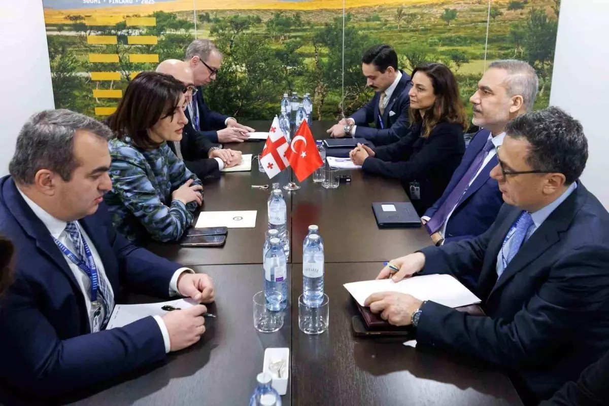 Hakan Fidan, Viyana’da Gürcistan Dışişleriyle Görüştü