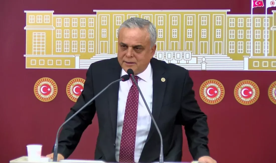 Hasan Ufuk Çakır, CHP