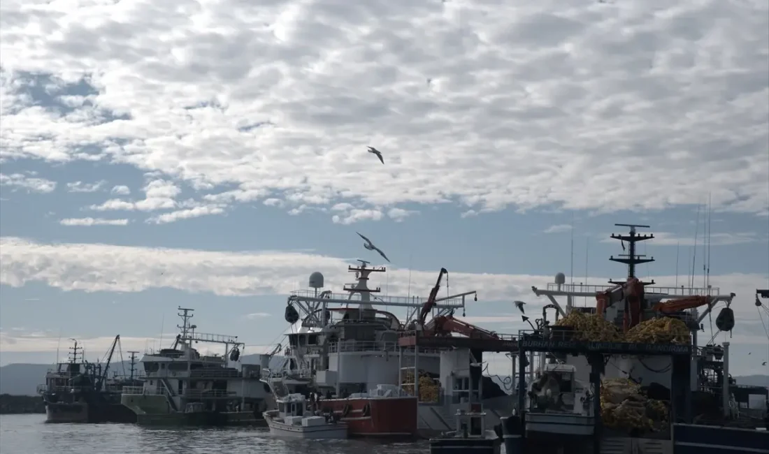 İğneada'da hamsi bolluğu balıkçıların