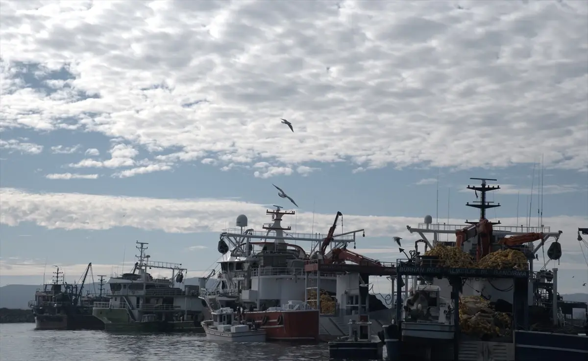 İğneada’da Hamsi Sevinci: Balıkçılar Yüzleri Güldürüyor