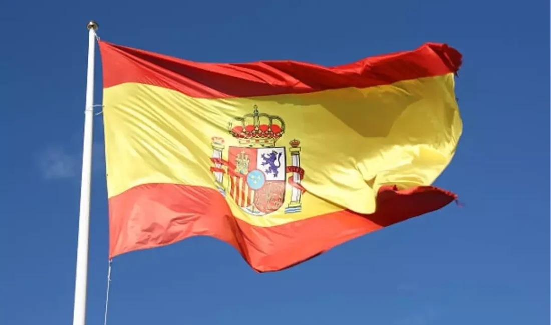 İspanya Sağlık Bakanlığı, grip