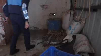 İstanbul'da kaçak at kesimi ve