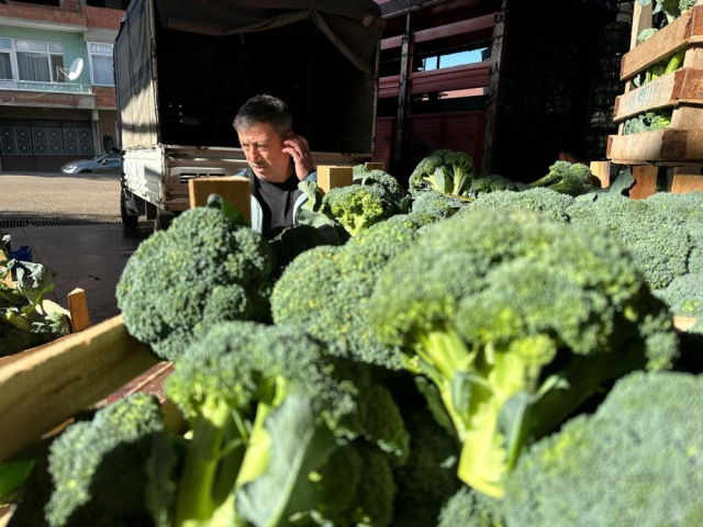Lodos ve Piyasa Düzensizliği