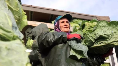 Kadın Emekleriyle Sakarya’nın Tarlalarından Marketlere Taze Ürünler