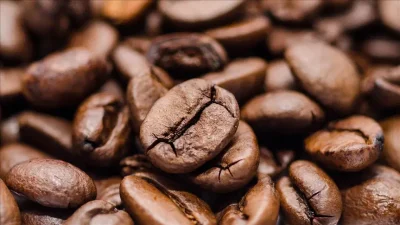 Kahve ve Balık Tüketiminin Ağrı Üzerine Etkileri Üzerine Yeni Bulgular