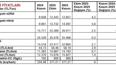 Kasım Ayı Arazi ve Market Fiyatlarındaki Güncel Durum ve Analizi