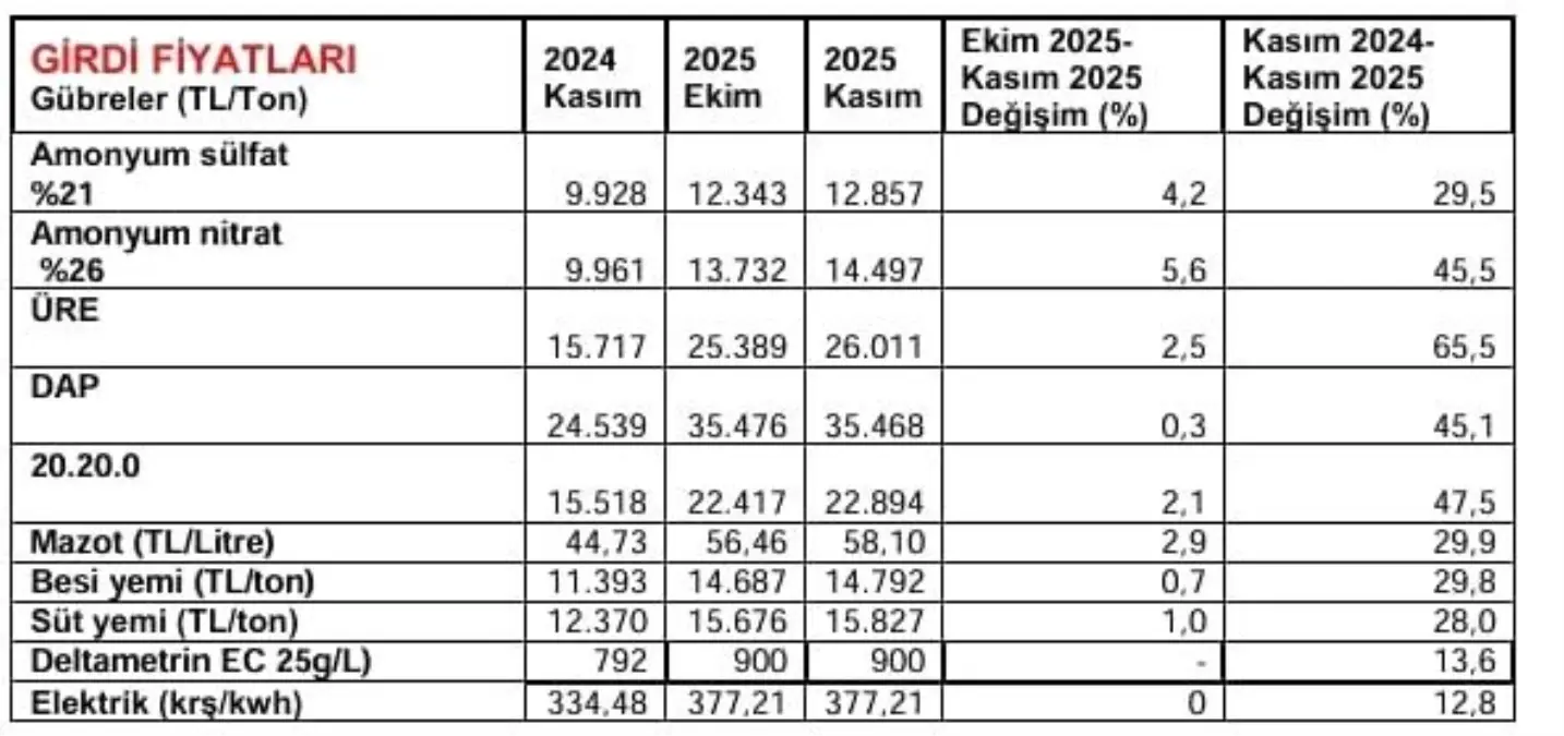 Kasım Ayı Arazi ve Market Fiyatlarındaki Güncel Durum ve Analizi