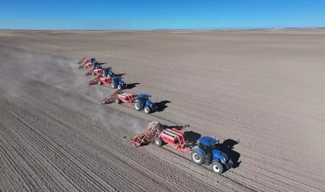 Kırşehir’de kuraklığa dayanıklı yerli