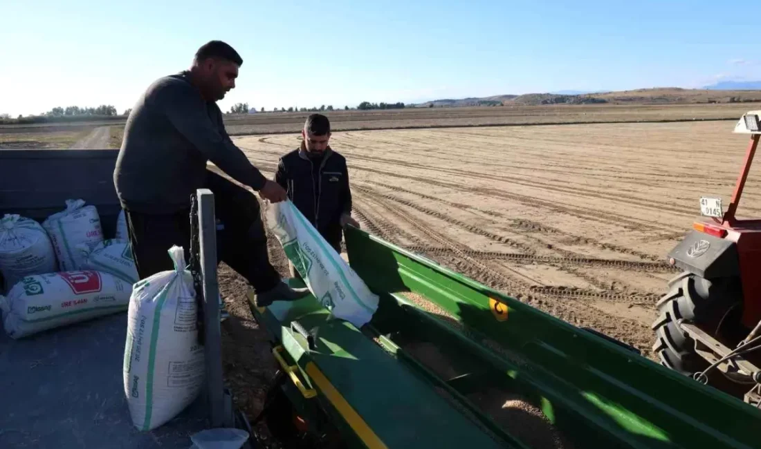 Kozan'da çiftçiler, bu yıl