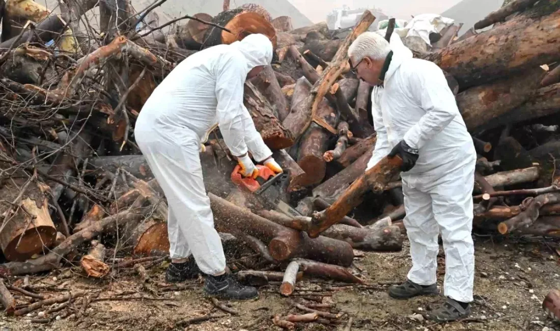 Manisa'da sosyal destek kapsamında