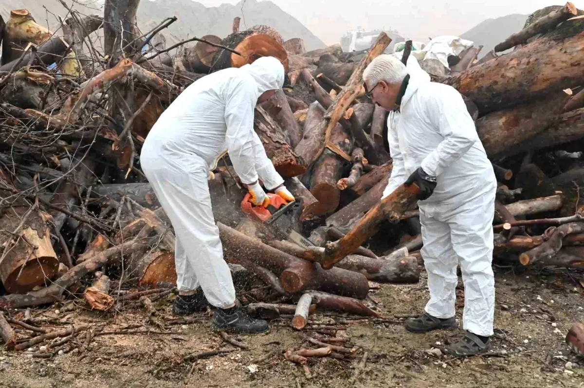 Manisa’da Sosyal Destek kapsamında Odun Dağıtımı Başladı
