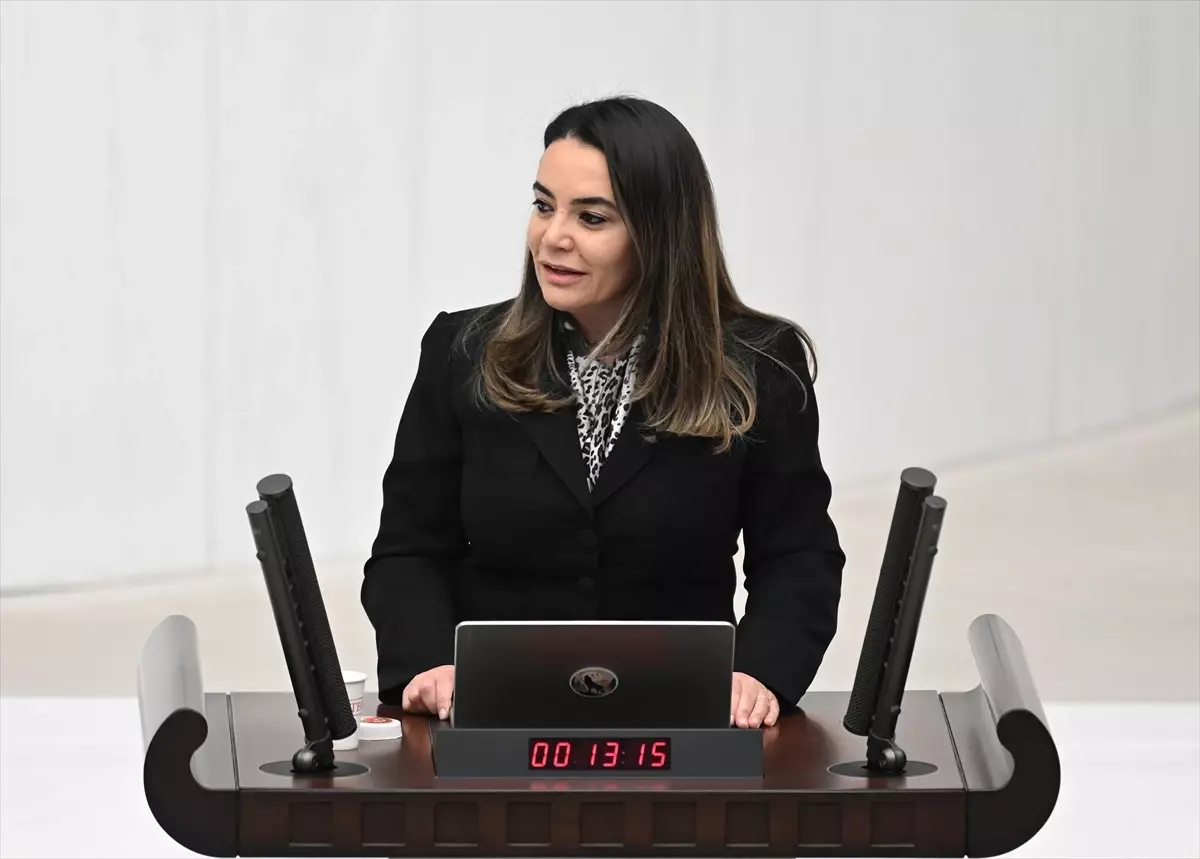 Meclis’te 2026 Bütçeleri Üzerine Siyaset ve Sosyal Eleştiriler