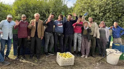 Mersin Erdemli’de Limon Hasadında Canlılık ve Tarihi Süreç