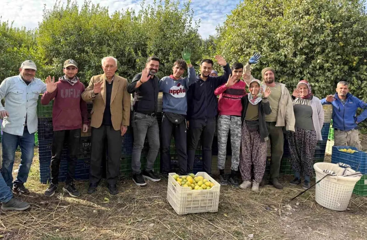 Mersin Erdemli’de Limon Hasadında Canlılık ve Tarihi Süreç