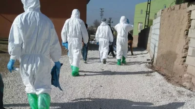 Muğla Milas’ta Şap Hastalığı Nedeniyle Karantina ve Aşılama Çalışmaları Devam Ediyor