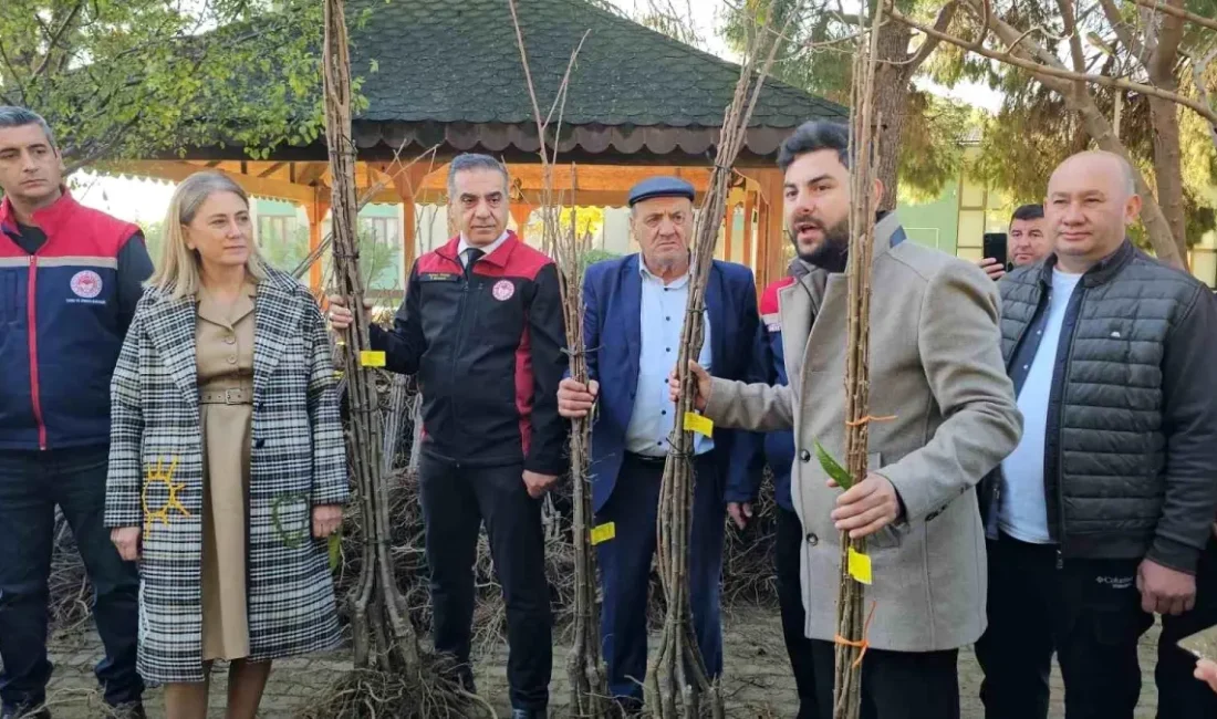 Nazilli’de hastalıksız ve yüksek