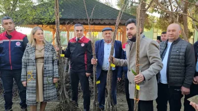 Nazilli’de Hastalıksız ve Yüksek Verimli Kestane Fidanı Dağıtım Etkinliği