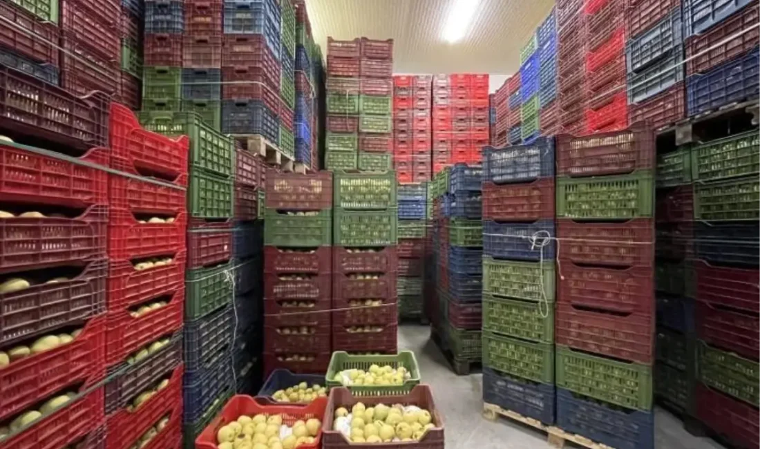 Osmaneli Belediyesi soğuk hava