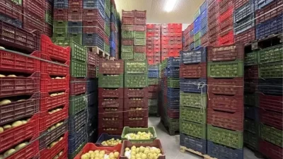 Osmaneli Belediyesi soğuk hava deposu