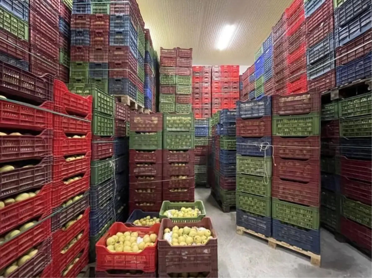 Osmaneli Belediyesi Soğuk Hava Deposu 2025 Capaca Teslim Edildi