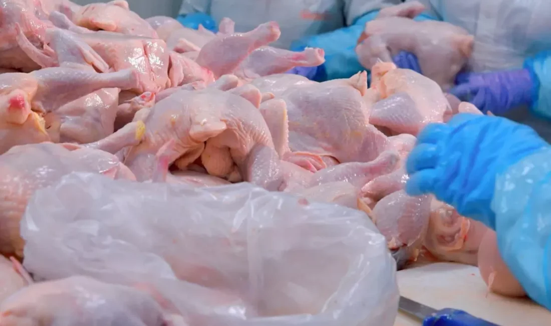 Osmaniye'den çiftlik sektörüne ekonomik