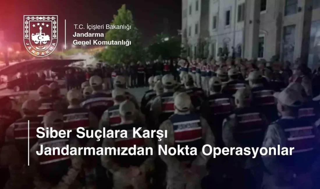 Siber dolandırıcılık operasyonlarında 78